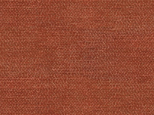 56610.jpg