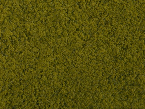 07270.jpg