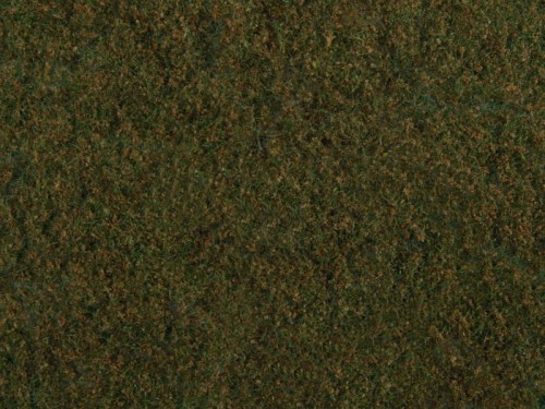 07272.jpg