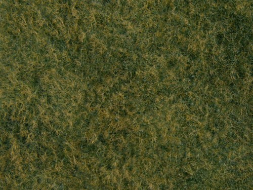 07280.jpg