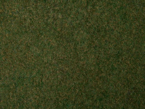 07281.jpg