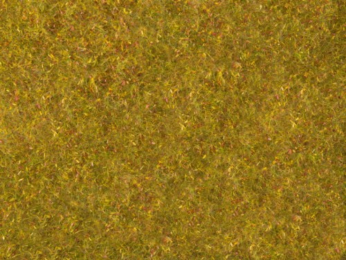 07290.jpg