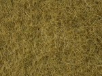 NOCH 07101 Dzika trawa, 6 mm, 50 g 
