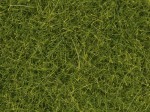 NOCH 07112 Dzika trawa, 12 mm, 40 g jasno zielona