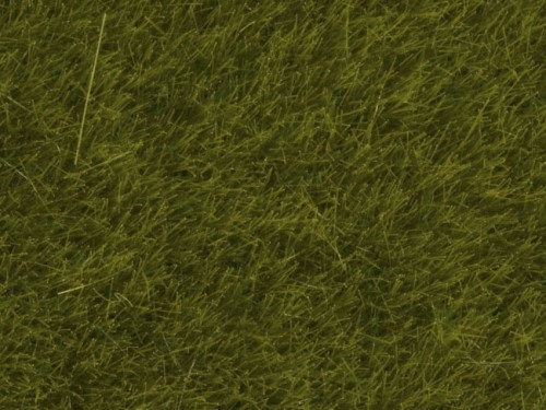 07100.jpg