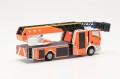 096867_a.jpg