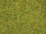 NOCH 08151 Trawa letnia łąka 2,5 mm, 120 g
