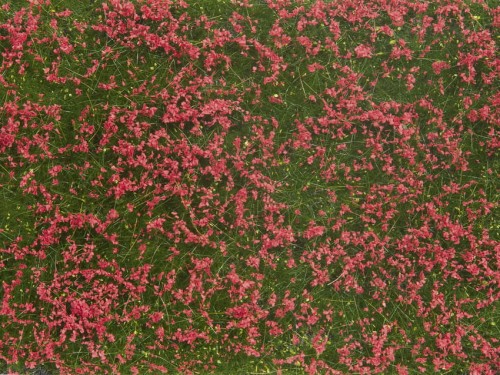 07257.jpg